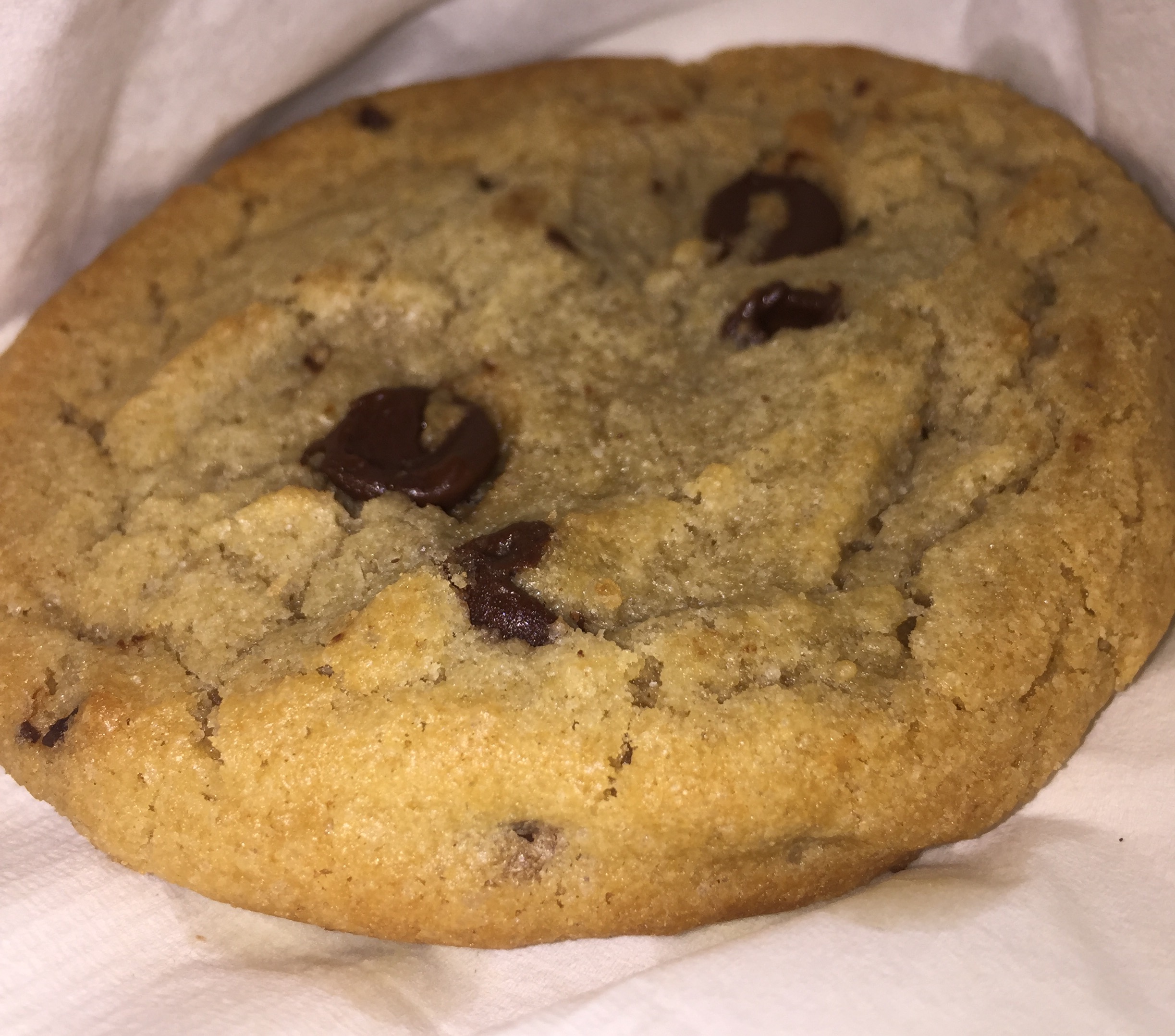 Chocolate chip cookie