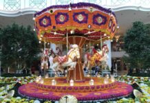 The Status Match Merry Go Round® Explained (Using Both Hotel and Casino Status Match Opportunities Year After Year) Status Match Merry Go Round