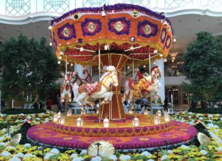 New SoCal / Las Vegas Merry Go Round “On Ramp” Status Match Merry Go Round