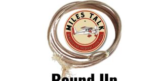 Round Up: Amex to Leaders Club, Atmos Philippine Airlines Awards Live, Cathay Transfer Bonus, Delta/Starbucks Changes roundup