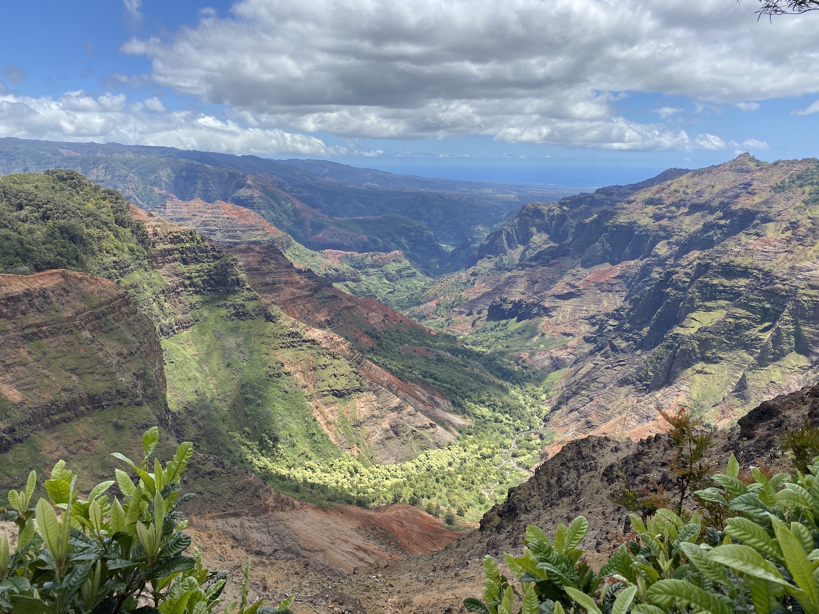 Kauai - Waimea Canyon