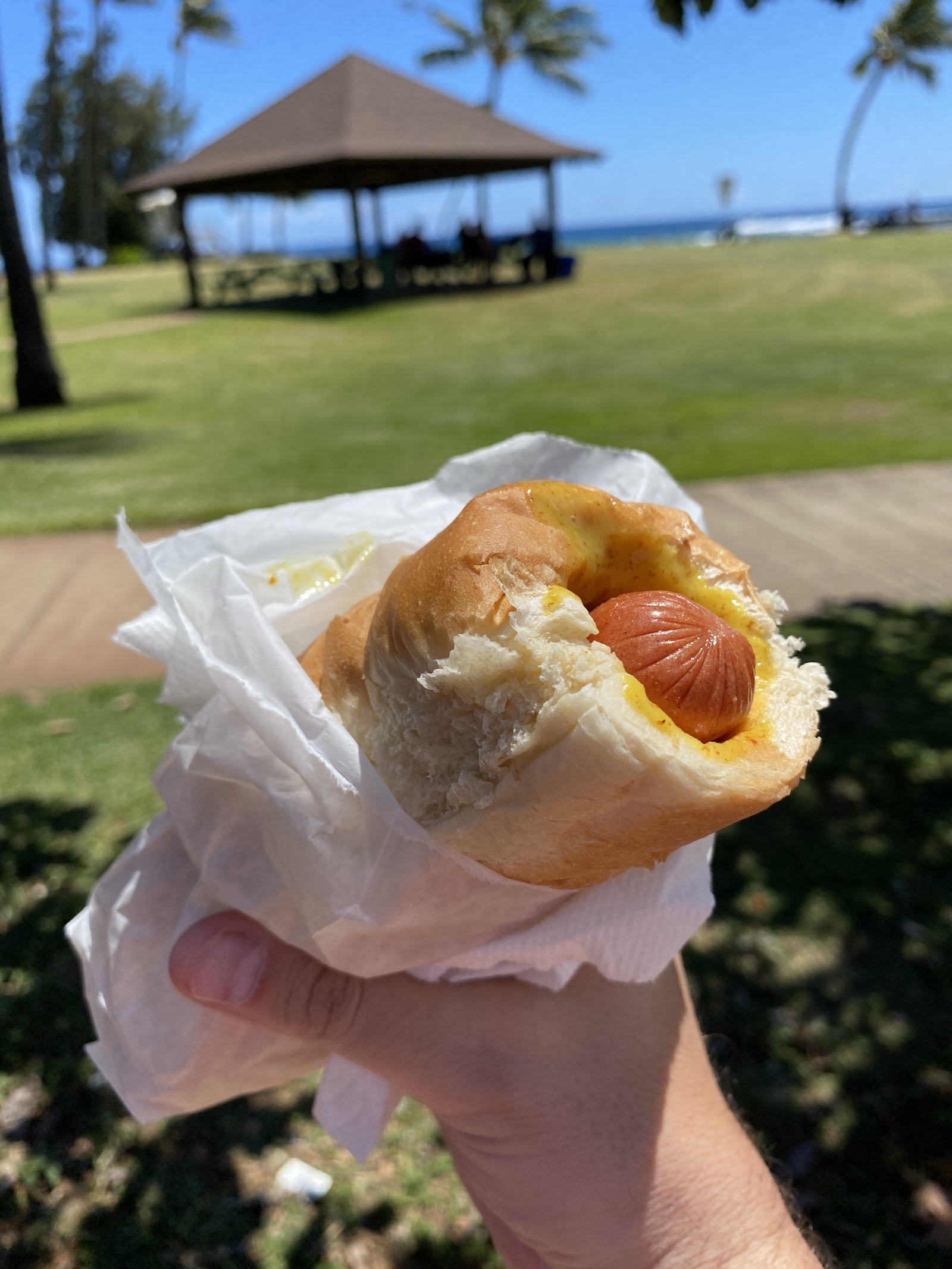 Puka Dogs - Poipu Beach