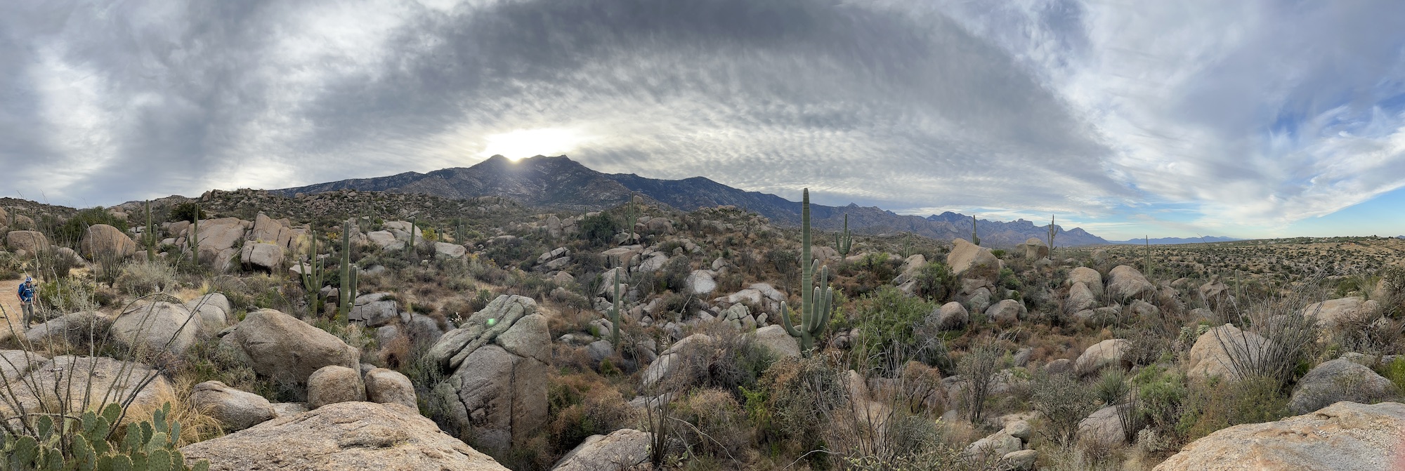 Panorama from a Hike
