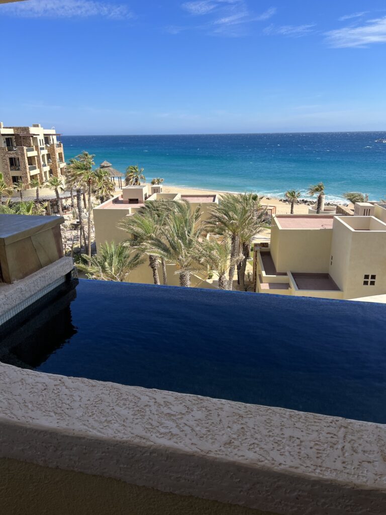 Waldorf Astoria Pedregal Plunge Pool