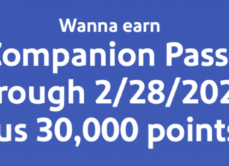 SW Companion Pass Through Feb 2024 with Personal Credit Card Bonus Offers southwest companion pass with one credit card